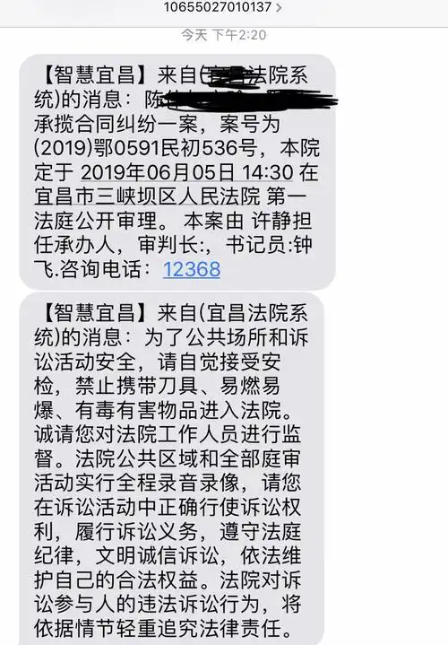 第一次收到法院的开庭传唤还不清楚具体案件情况好慌求助