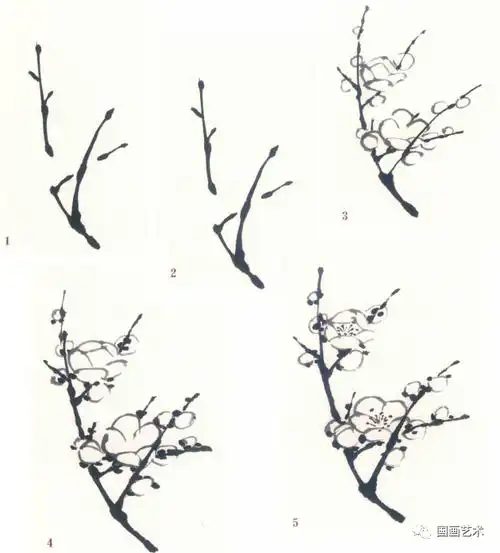 图文教程——梅花基本画法