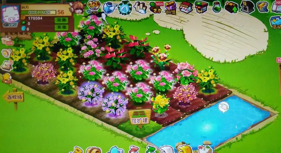 qq农场准时收菜,一代人的见证,致我们逝去的青春 - 奇点