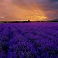 微信头像风景图片大全山水真实9