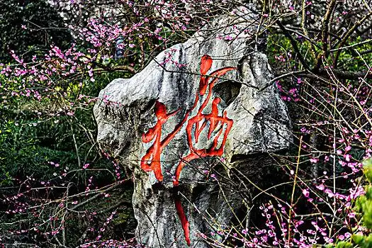 梅花梅字石碑