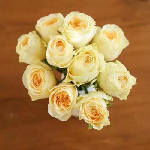 乐作flora|稀有品种 暖玉 玫瑰 奥斯汀花型10枝 空运包邮 非现货