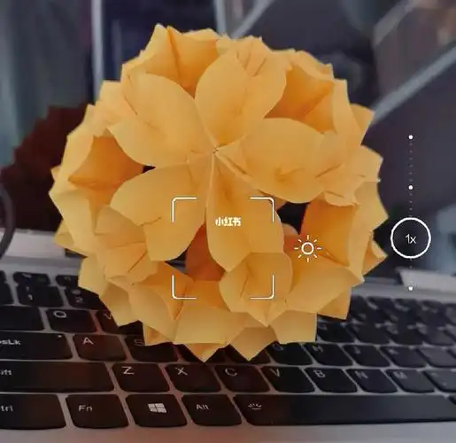 花球去年折的一只樱花花球