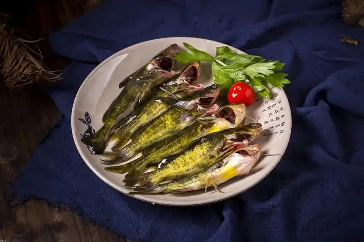 土凤鱼的官方名称是什么「知识普及」