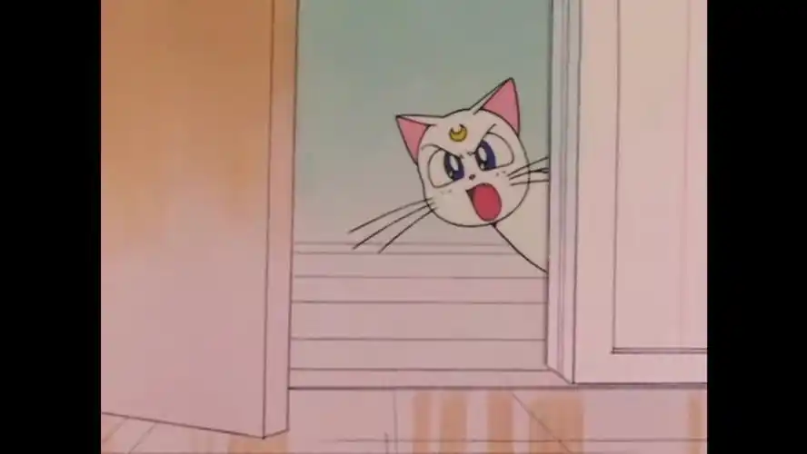 《美少女战士》亚提密斯 - 高清图片,堆糖,美图壁纸兴趣社区