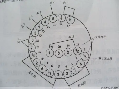 【宏艺乐器厂】批发供应专业21簧笙abcdefg调扩音笙