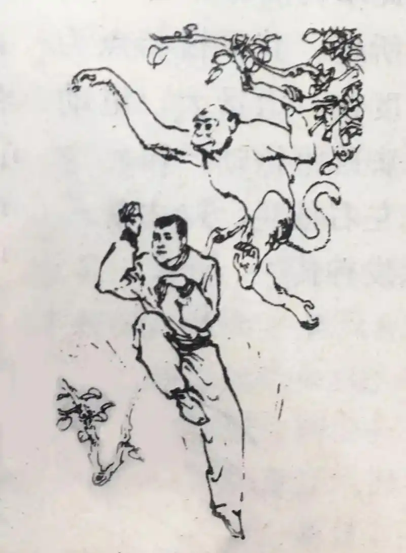 早在战国时,就有猴拳献技的记载.