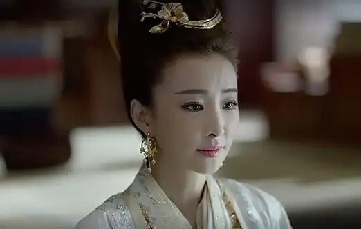 淑贵妃《倚天屠龙记》丁敏君《汉武帝》卫子夫《乱世英雄吕不韦》