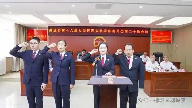 柳城表决通过一批人事任免事项