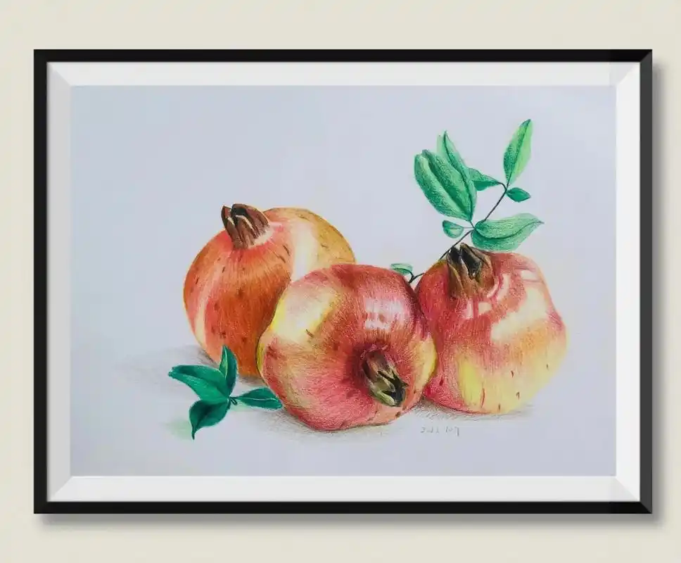 创作灵感 #彩铅手绘 #绘画过程 #石榴 #给生活多一点色 - 抖音