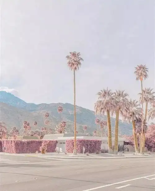 火爆ins 的网红摄影师拍的照片,色调简直美到哭!