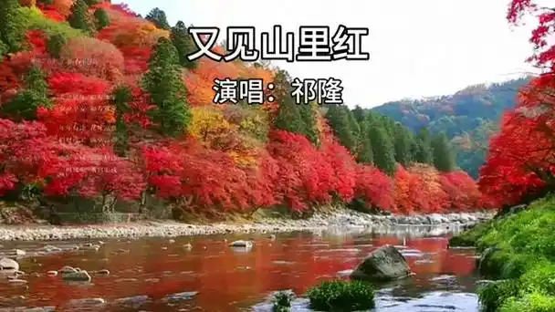 每日分享音乐#祁隆《又见山里红》