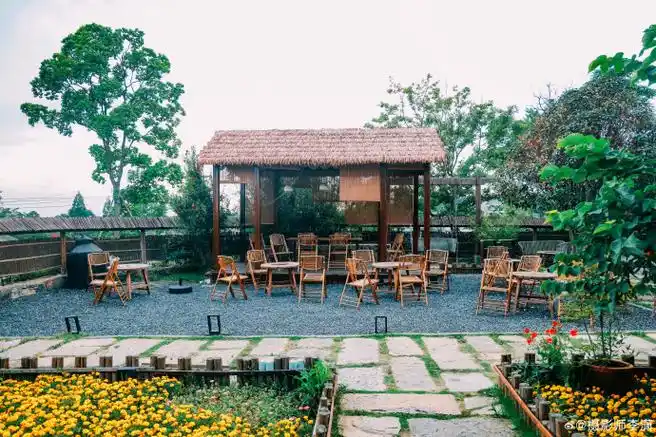 点亮合肥美丽乡村