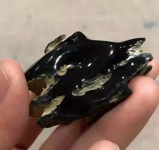 极品墨翠翡翠原石