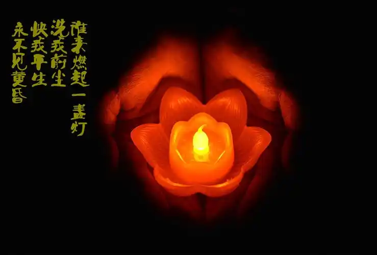 七宝莲 莲花灯led电池供佛许愿灯荷花灯2477纽扣电池河灯蜡烛 黄色