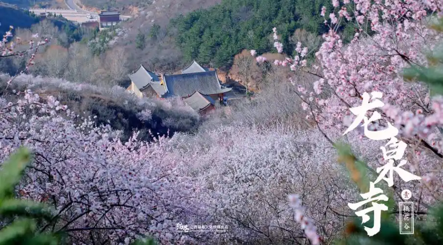 大同这么多"龙"元素的景点,龙年挨个逛,正合适