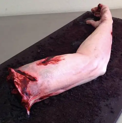 人美活好:探访"食人族"蛋糕师