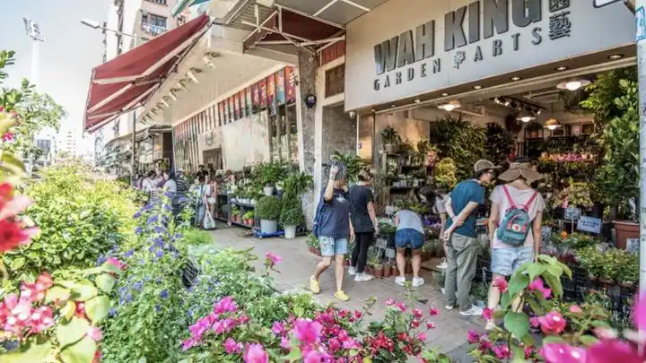 旺角花墟实施人潮管制多条道路明早8时起封闭