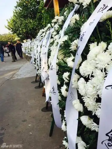 姚贝娜追悼会现场肃穆歌迷拉横幅送行组图