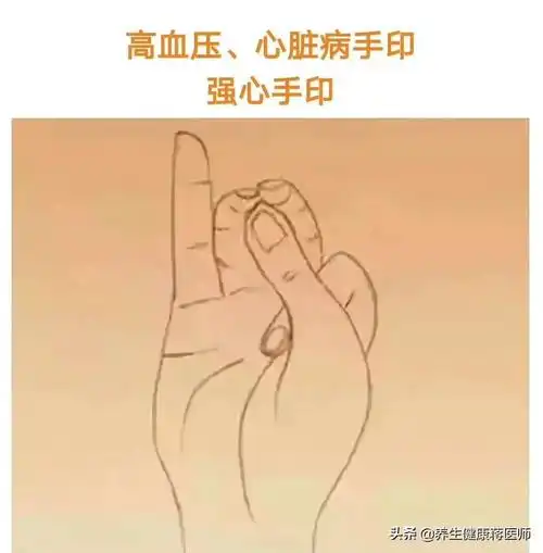 高血压,心脏病手印(强心手印)练习方法