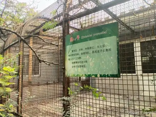 荒废的大城山动物园