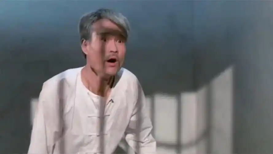 林正英出手制服僵尸,和徒弟配合,将僵尸烧死在院子里