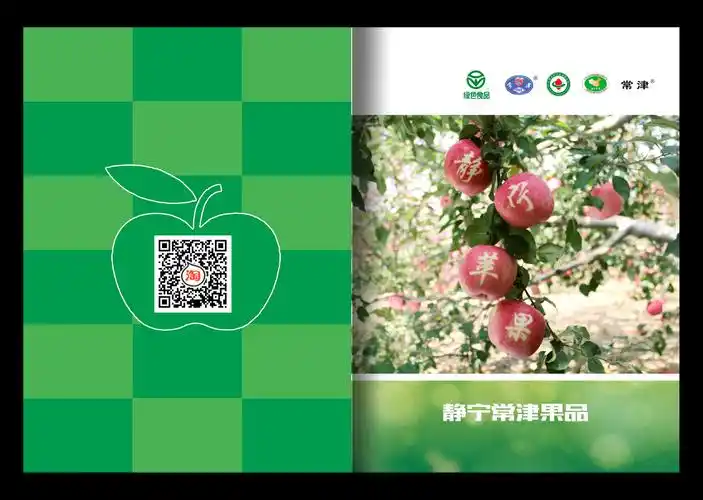 苹果农产品宣传册设计