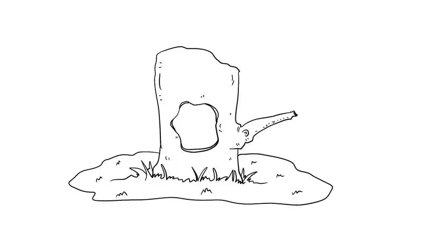 树洞简笔画如何画