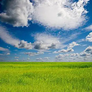 夏天,风景,漂亮,青草,蓝天