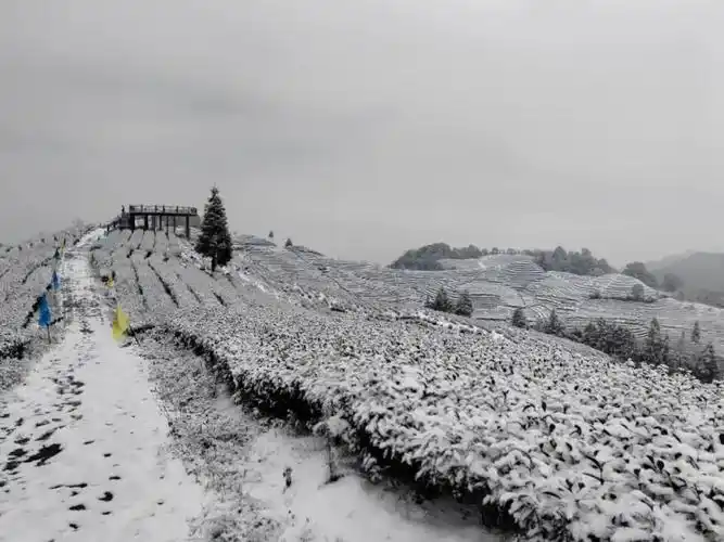 天宫山下雪啦!快来欣赏一波雪景～_腾讯新闻
