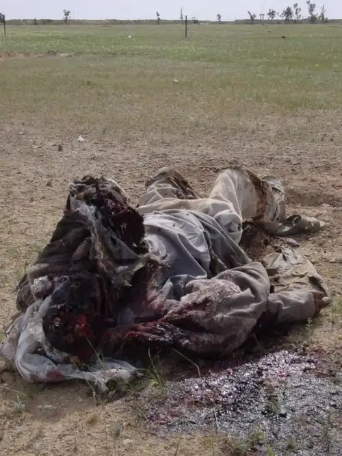 美伊战争真实残酷图集