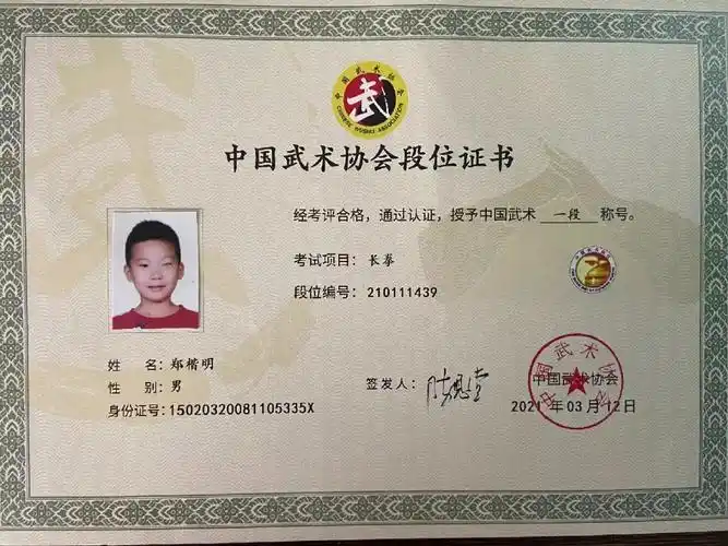 喜报汇贤学校学子武术段位晋级