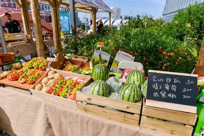 晶耀前滩迎来田园风格市集以商助农助推城市发展内循环