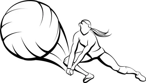 排球女郎矢量素材图片