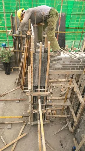 东单元支构造柱模板