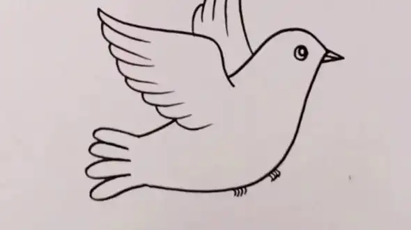 《白鸽》简笔画#绘画素材#儿童画#手抄报素材