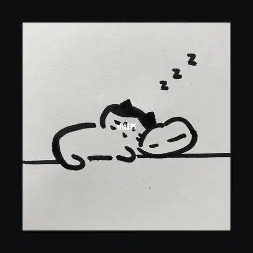 简笔画冬眠小猫