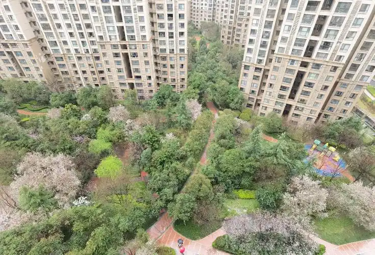 曲江新区芙蓉东路中海碧林湾三室毛坯房南北通透随时看