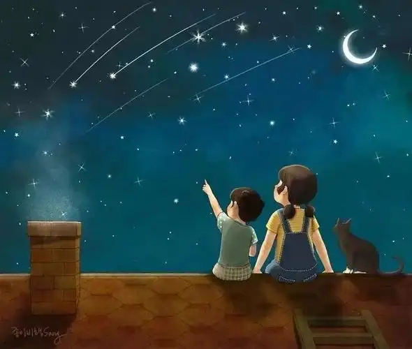 我们会一起看星星.