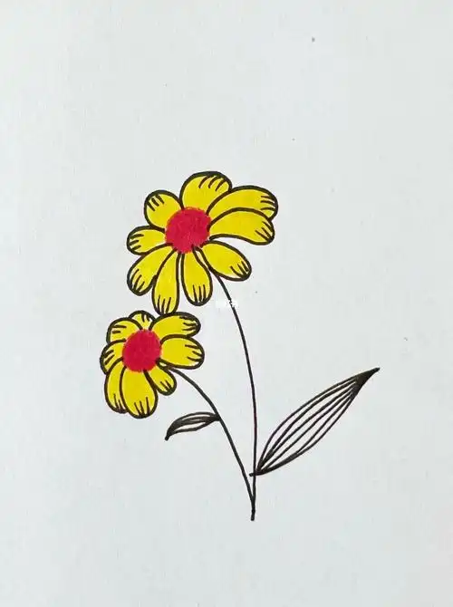 简笔画小雏菊小野花