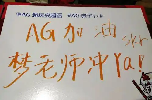 粉丝的应援牌子