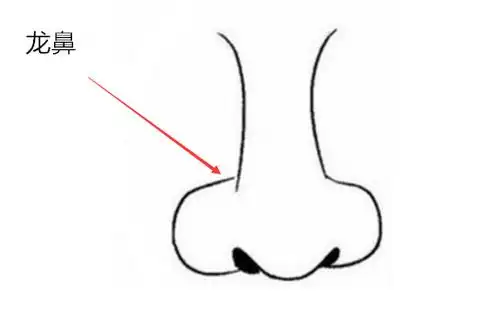简笔画龙鼻子