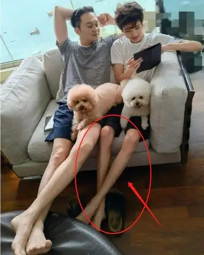 袁咏仪晒张智霖跟儿子,14岁魔童颜值似混血,一双筷子腿引热议