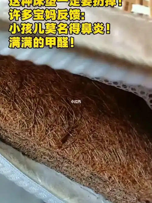 棕垫选不好家人身体好不了