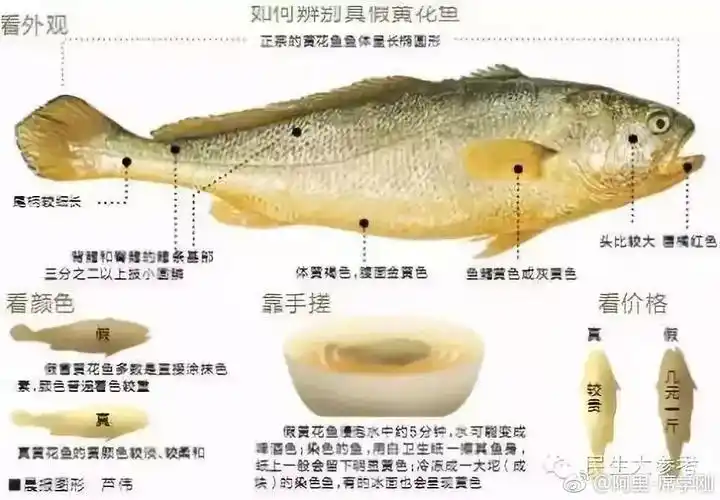 这种鱼已流入市场,多吃会中毒!赶紧告诉家里人