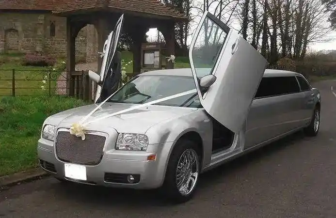 1981 年法拉利400i四门加长版_搜狐汽车_搜狐网