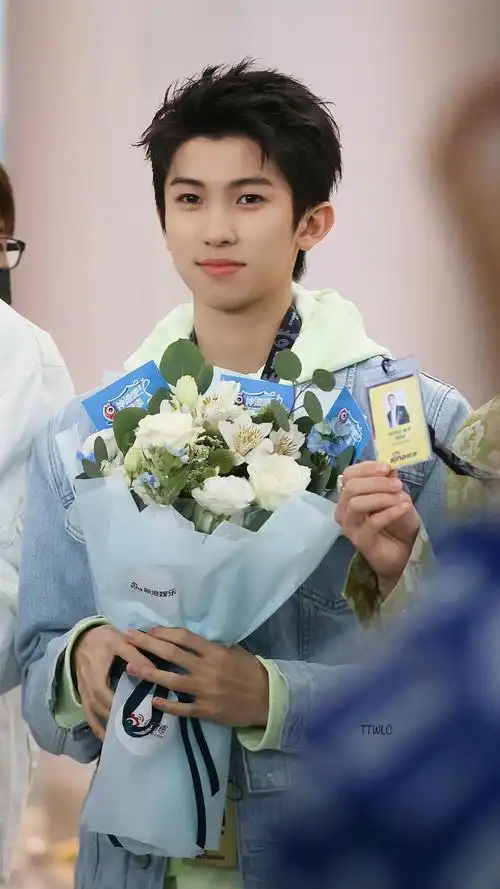 林墨属于淡颜系吗