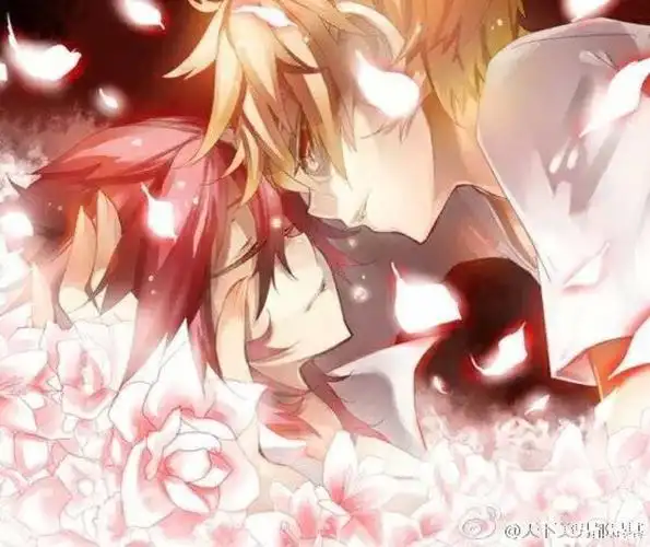 7815 - 堆糖,美图壁纸兴趣社区