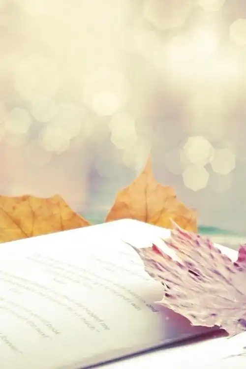 唯美书籍高清图片iphone手机壁纸