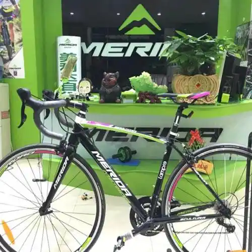 全新17款美利达斯特拉94公路车二手价格出